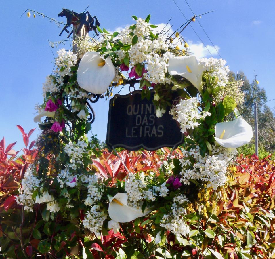Quinta Das Leiras - Rubiaes Paredes de Coura Luaran gambar